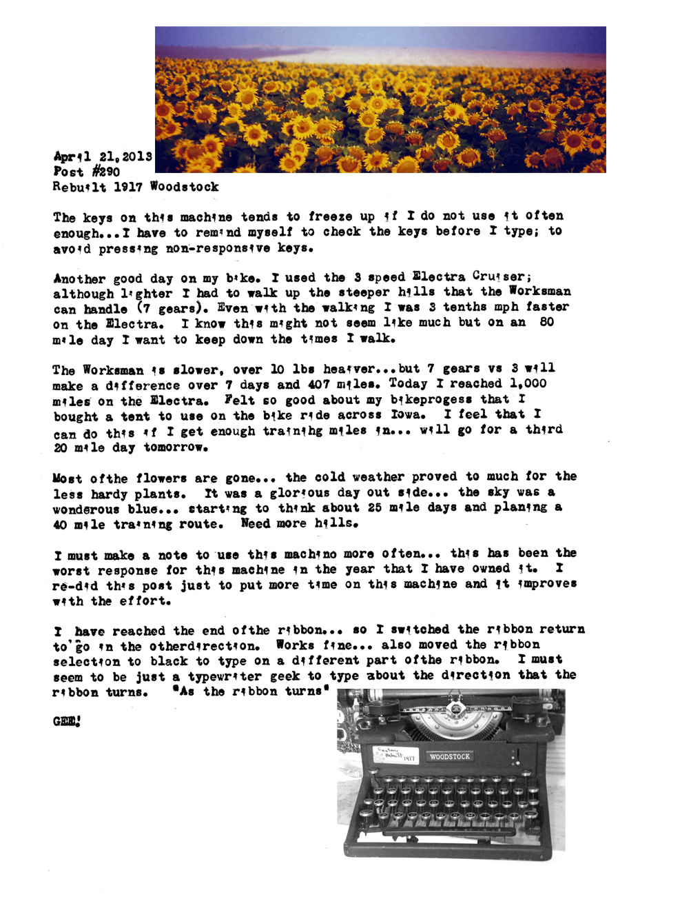 One summer I saw sunflowers another I bought a old woodstock
